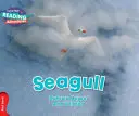 La banda rossa dei gabbiani - Seagull Red Band