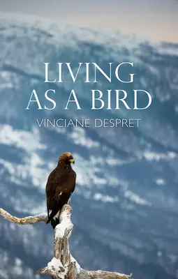 Vivere come un uccello - Living as a Bird
