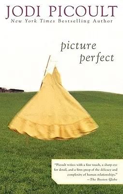 Immagine perfetta - Picture Perfect