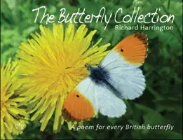 Collezione di farfalle - Butterfly Collection