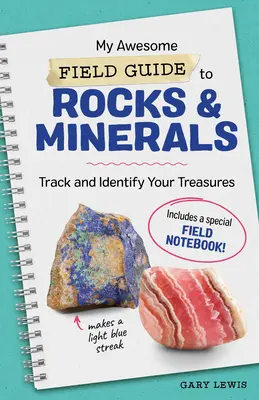 La mia fantastica guida alle rocce e ai minerali: Rintraccia e identifica i tuoi tesori - My Awesome Field Guide to Rocks and Minerals: Track and Identify Your Treasures