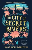 La città dei fiumi segreti - City of Secret Rivers
