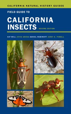 Guida agli insetti della California, 111: Seconda edizione - Field Guide to California Insects, 111: Second Edition