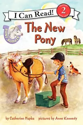 Il nuovo pony - The New Pony