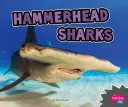 Squali martello - Hammerhead Sharks