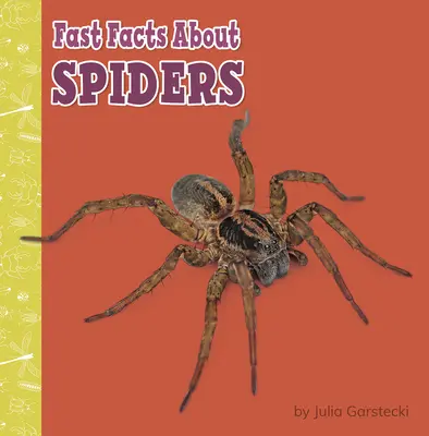 Fatti veloci sui ragni - Fast Facts about Spiders