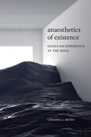 Anestetici dell'esistenza: Saggi sull'esperienza al limite - Anaesthetics of Existence: Essays on Experience at the Edge
