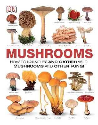 Funghi: Come identificare e raccogliere i funghi selvatici e altri funghi - Mushrooms: How to Identify and Gather Wild Mushrooms and Other Fungi