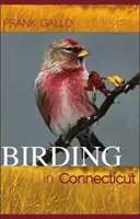 Uccelli nel Connecticut - Birding in Connecticut