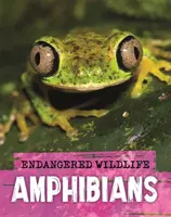 Animali selvatici in pericolo: Salvataggio di anfibi - Endangered Wildlife: Rescuing Amphibians