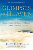 Scorci di paradiso: Storie vere di speranza e pace alla fine del viaggio della vita - Glimpses of Heaven: True Stories of Hope and Peace at the End of Life's Journey
