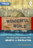 Un mondo meraviglioso: Libro 1: Cinque sessioni di gruppo giovanile dalla Genesi all'Apocalisse - A A Wonderful World: Book 1: Five Youth Group Sessions from Genesis to Revelation