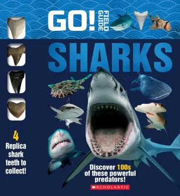 Vai! Guida sul campo: Squali - Go! Field Guide: Sharks