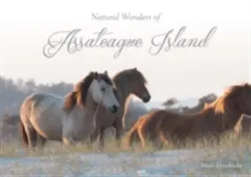 Meraviglie naturali dell'isola di Assateague - Natural Wonders of Assateague Island