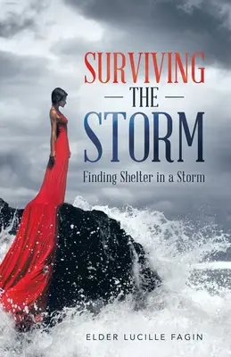 Sopravvivere alla tempesta: Trovare riparo nella tempesta - Surviving the Storm: Finding Shelter in a Storm
