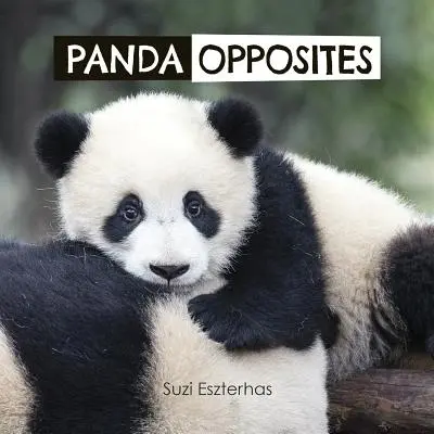 Gli opposti del panda - Panda Opposites
