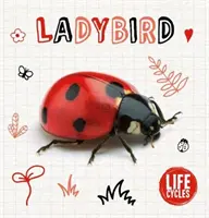 Coccinella - Ladybird