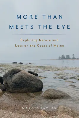 Più di quanto sembri: Esplorare la natura e la perdita sulla costa del Maine - More Than Meets the Eye: Exploring Nature and Loss on the Coast of Maine