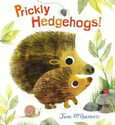 Ricci pungenti! - Prickly Hedgehogs!
