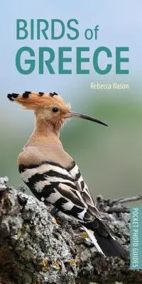 Uccelli di Grecia - Birds of Greece