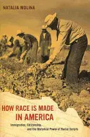 Come è fatta la razza in America, 38: Immigrazione, cittadinanza e potere storico dei copioni razziali - How Race Is Made in America, 38: Immigration, Citizenship, and the Historical Power of Racial Scripts
