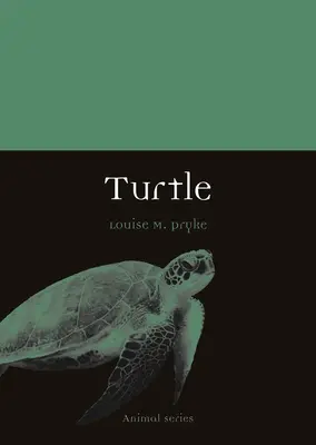 Tartaruga - Turtle