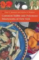Funghi commestibili e velenosi di New York - Common Edible and Poisonous Mushrooms of New York