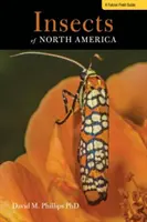 Insetti del Nord America: Una guida sul campo a oltre 300 insetti - Insects of North America: A Field Guide to Over 300 Insects
