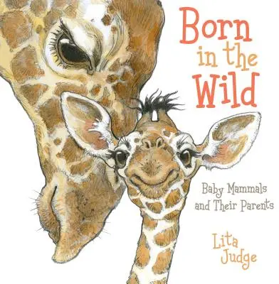 Nati in natura: i cuccioli di mammifero e i loro genitori - Born in the Wild: Baby Mammals and Their Parents