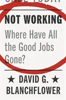 Non lavorare: Dove sono finiti tutti i buoni lavori? - Not Working: Where Have All the Good Jobs Gone?