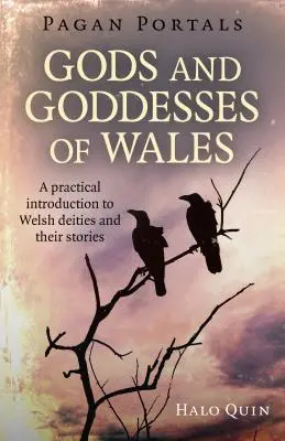 Portali pagani - Dei e dee del Galles: Un'introduzione pratica alle divinità gallesi e alle loro storie - Pagan Portals - Gods and Goddesses of Wales: A Practical Introduction to Welsh Deities and Their Stories