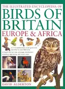 L'enciclopedia illustrata degli uccelli di Gran Bretagna, Europa e Africa - The Illustrated Encyclopedia of Birds of Britain, Europe & Africa