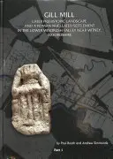 Gill Mill: Paesaggio preistorico più tardo e insediamento romano nella bassa valle di Windrush a Gill Mill, vicino a Witney, O - Gill Mill: Later Prehistoric Landscape and a Roman Nucleated Settlement in the Lower Windrush Valley at Gill Mill, Near Witney, O