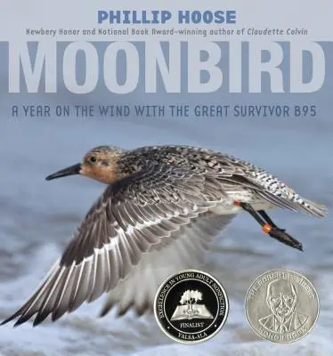 Moonbird: Un anno nel vento con il grande sopravvissuto B95 - Moonbird: A Year on the Wind with the Great Survivor B95
