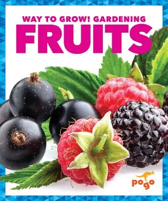Frutti - Fruits