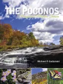 I Poconos: Il tesoro montano della Pennsylvania - The Poconos: Pennsylvania's Mountain Treasure