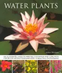 Piante acquatiche - Una guida illustrata alle varietà, alla coltivazione e alla cura, con istruzioni passo-passo e oltre 110 splendide fotografie - Water Plants - An Illustrated Guide to Varieties, Cultivation and Care, with Step-by-step Instructions and Over 110 Beautiful Photographs