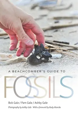 Guida ai fossili di un pescatore da spiaggia - A Beachcomber's Guide to Fossils