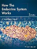 Come funziona il sistema endocrino - How the Endocrine System Works