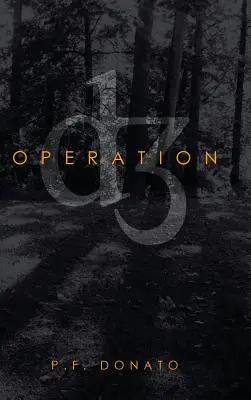 Operazione D3 - Operation D3