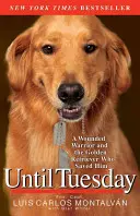 Fino a martedì - Until Tuesday