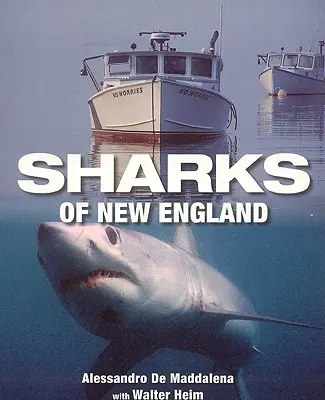 Squali del New England - Sharks of New England