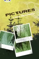 Bug Club Narrativa indipendente Anno 5 Blue B Pictures - Bug Club Independent Fiction Year 5 Blue B Pictures