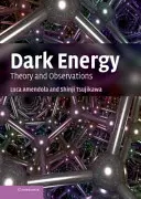 Energia oscura: Teoria e osservazioni - Dark Energy: Theory and Observations