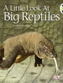 Bug Club Guidato Saggistica Anno 1 Blu B Un piccolo sguardo ai grandi rettili - Bug Club Guided Non Fiction Year 1 Blue B A Little Look at Big Reptiles