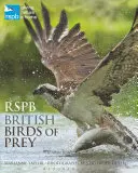Uccelli rapaci britannici RSPB - RSPB British Birds of Prey