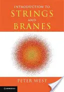 Introduzione a corde e rami - Introduction to Strings and Branes