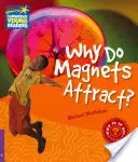 Perché i magneti si attraggono? Quaderno di livello 4 - Why Do Magnets Attract? Level 4 Factbook