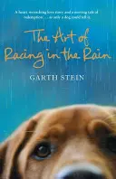 L'arte di correre sotto la pioggia - Art of Racing in the Rain