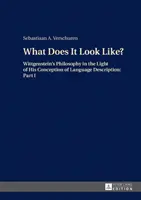 Che aspetto ha?; La filosofia di Wittgenstein alla luce della sua concezione della descrizione del linguaggio: Parte I - What Does It Look Like?; Wittgenstein's Philosophy in the Light of His Conception of Language Description: Part I